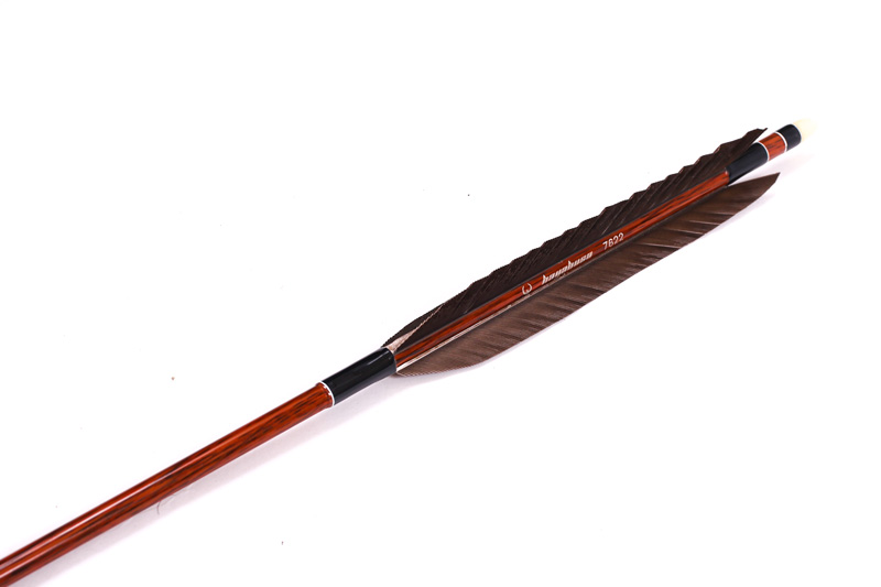 矢 羽 種類見本