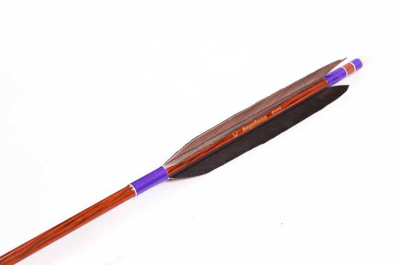 矢 羽 種類見本