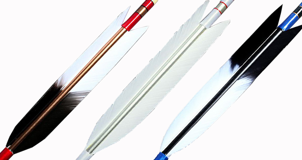 矢 羽 種類見本